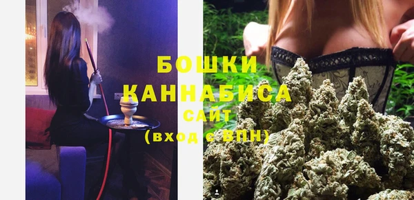 бошки Алексин
